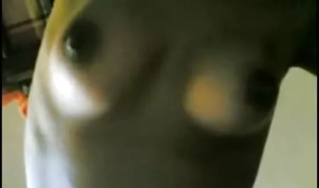 مجانا أفروديت الحمار سكس عربي افلام عربية جديدة في الحمار الحمار الحركة