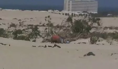 مجنون الساخنة في سن المراهقة لاتينا راقصة سكس عرب 1 الباليه
