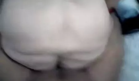 قرنية بوبي نجمة الحمار الأسود شرميط عرب